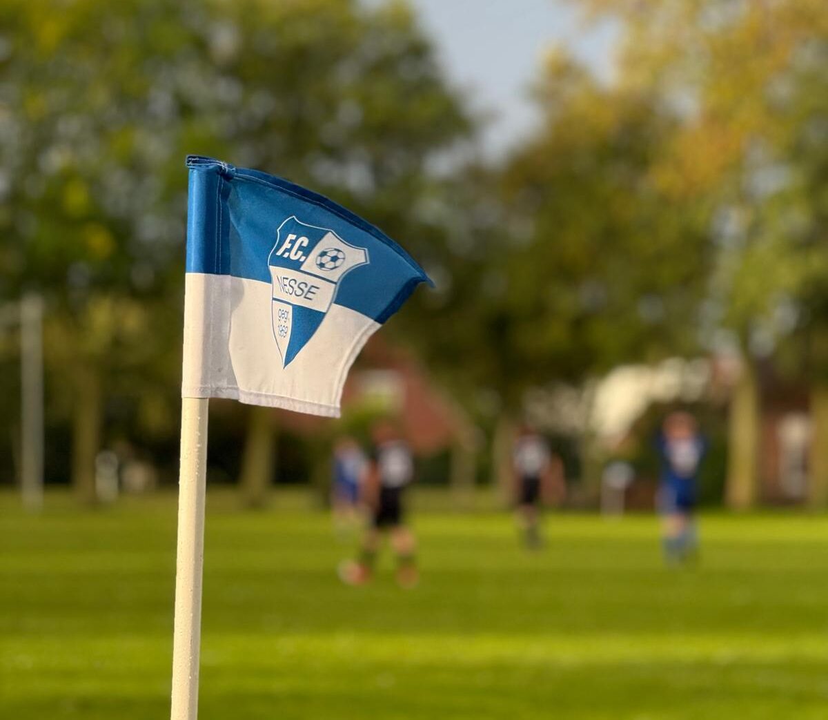 fe407bcd 8356 44eb 97f8 bb47d0ba8a69